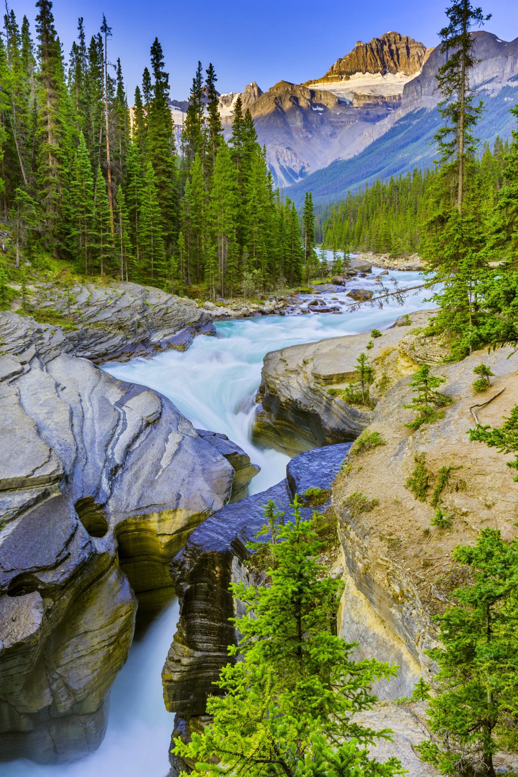 Canadian Rockies 2024 — American Classic Tours